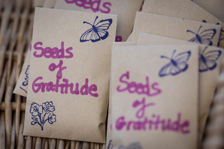 2025 Sustainability Celebration: Seed packets with text Seeds of Gratitude
