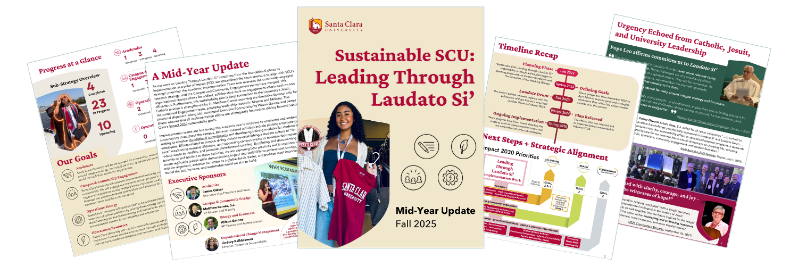 Collage of LTLS Progress Report pages