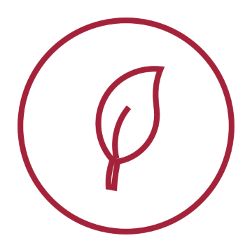 Resources icon, a leaf