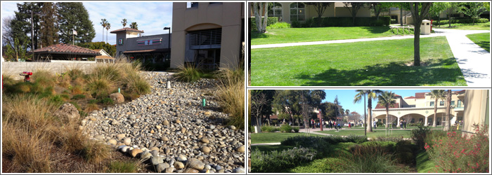 Examples of landscaping projects including pathways and garden areas.
