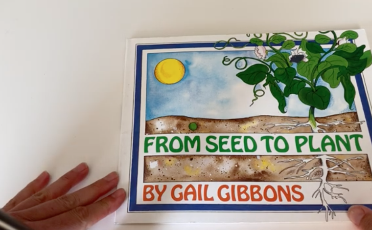 Book cover titled From Seed to Plant with an illustrated plant, sun, and hand.