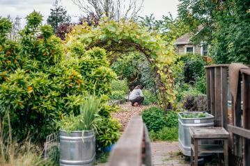 A student working in the forge garden seen through a vine arch