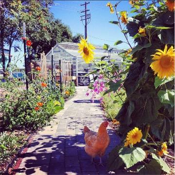 Forge pathway, 2014, square, Instagram photo