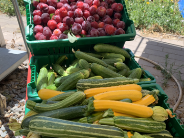 Zucchini squash and plums in delivery wagon