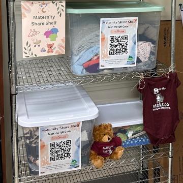 Two shelfs containing several clear plastic bins with lids with stuffed animals