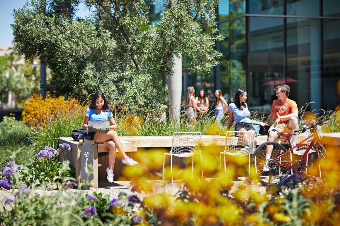 Three students sitting on a bench talking and studying with flowers all around