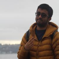 Avik Choudhury