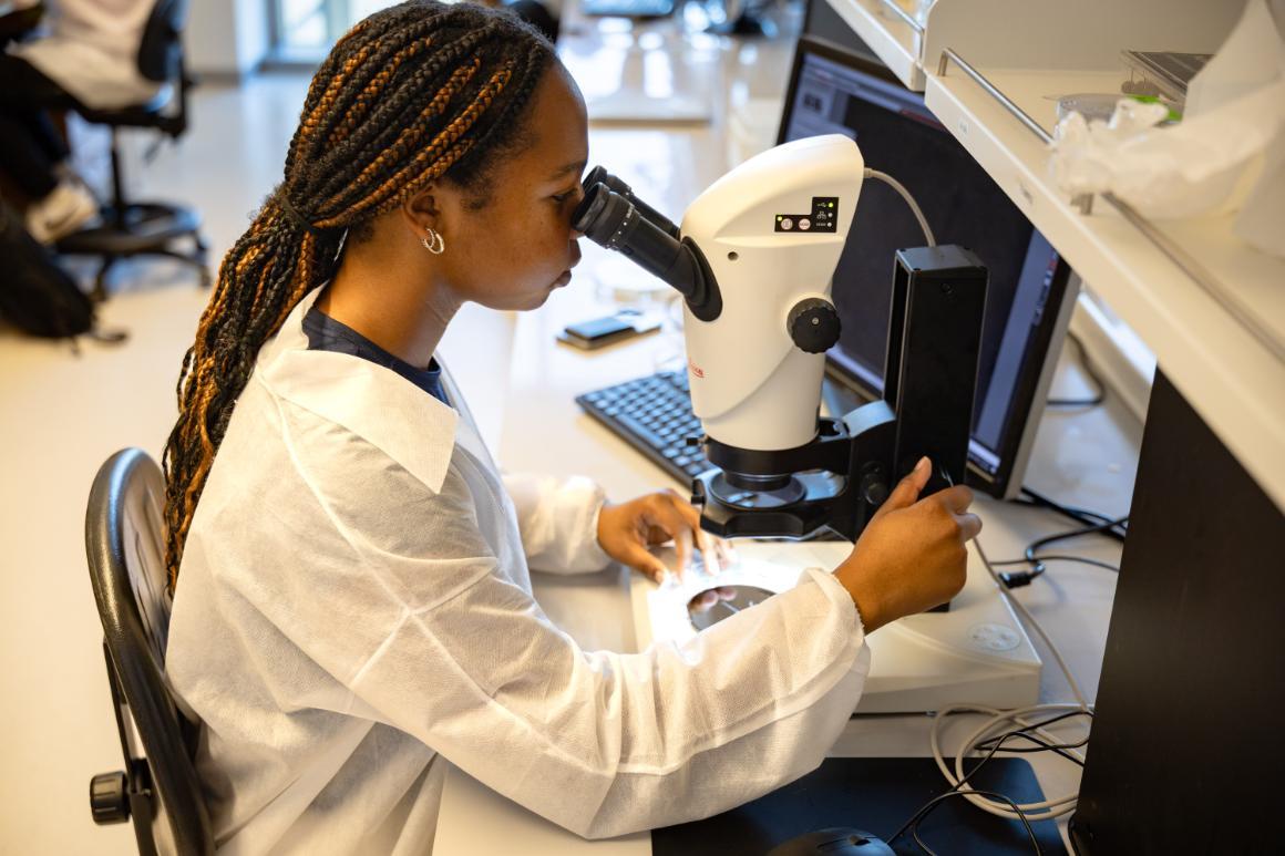 Student using a microscope