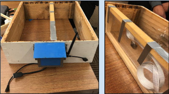 image of the beehive live stream and the compartment holding the bees
