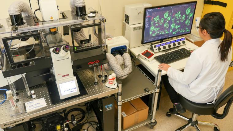 Female graduate student works at Bioengineering computer and equipment in lab.