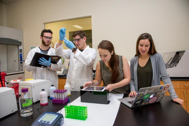 From left: Jake Prince, Joe Neumeyer, Amy Miller, Blair Koeneman; Credit: Joanne Lee image link to article