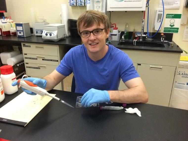 Maryam MobedMiremadi