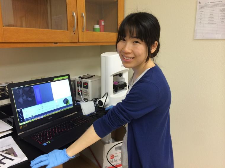 Maryam MobedMiremadi