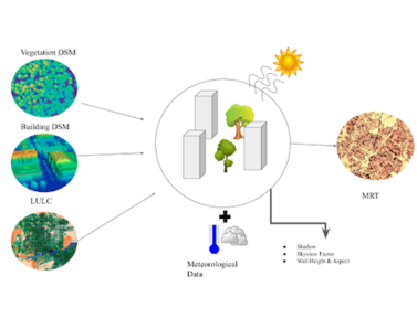 Workflow of generating Mean Radiant Temperature 