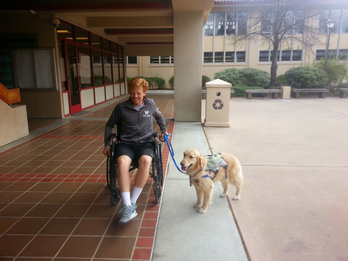 A person in a wheelchair with a dog outside a building.