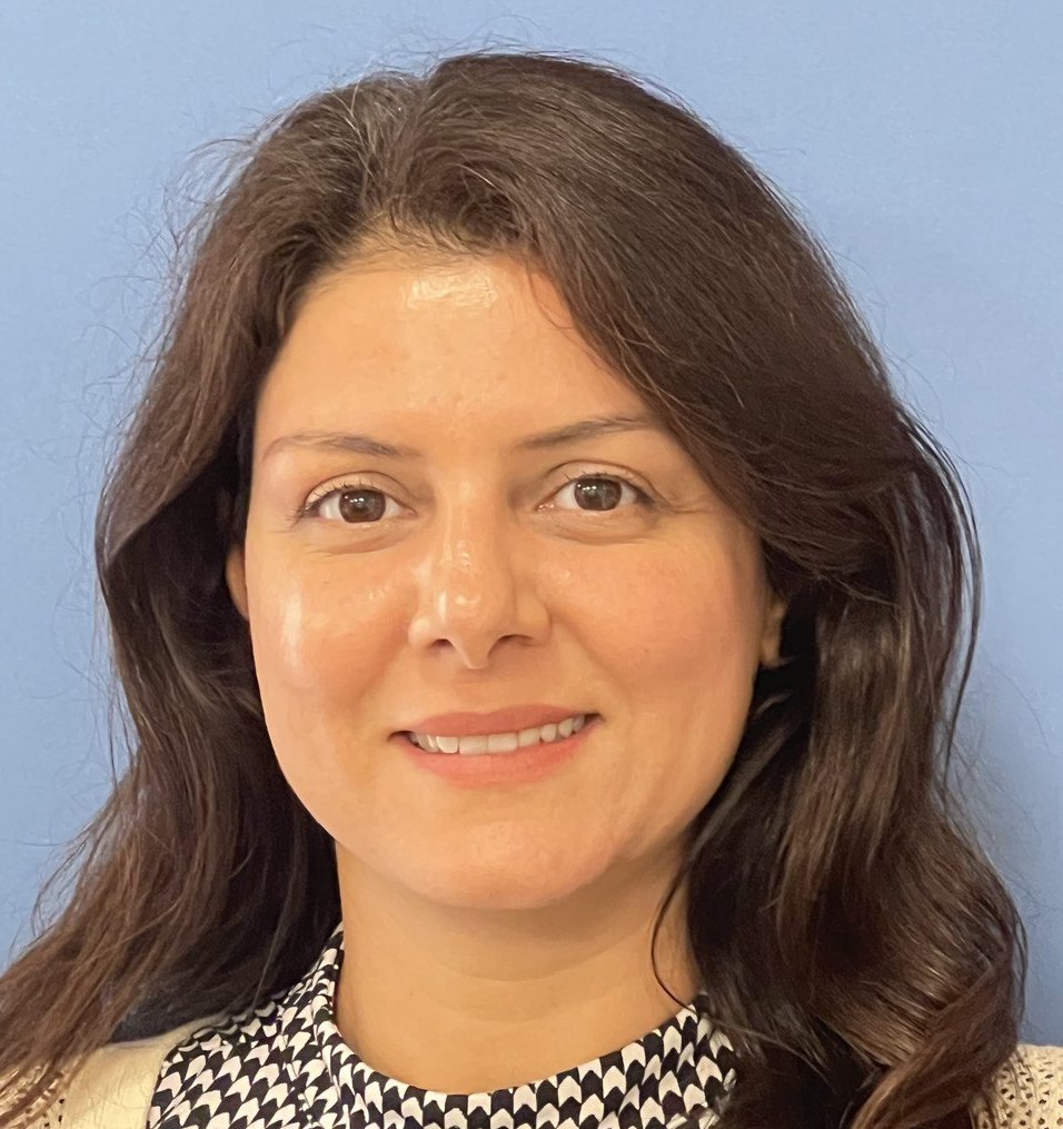 Fatemeh Davoudi Kakhki