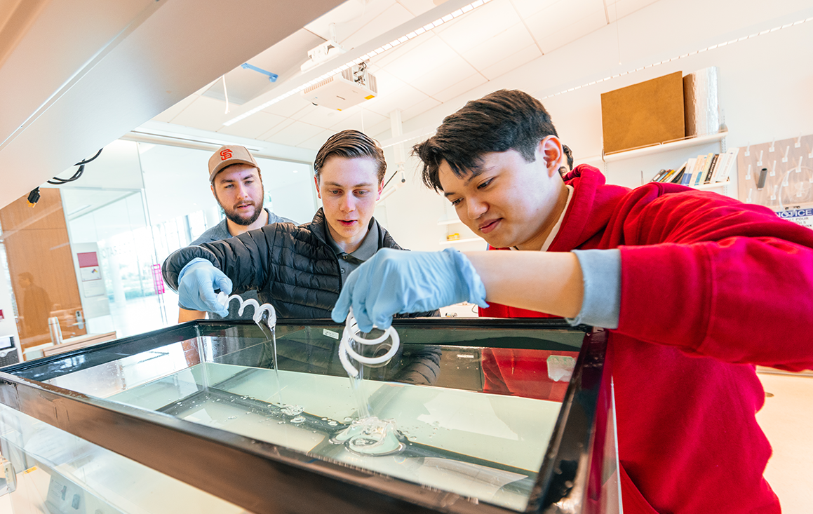Students working in Dr. On Shun Pak's lab image link to story