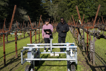 Two students navigating a robot in a vineyard