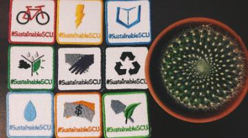 Playbook patches arranged around a small succulent 